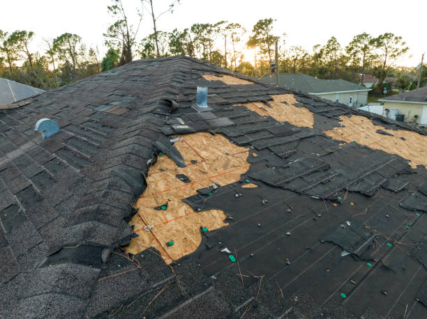 Professional Roofing Services in Perry Hall, MD